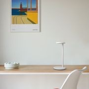 Oblique gallery detail image