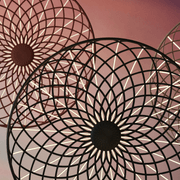 Skynest gallery detail image