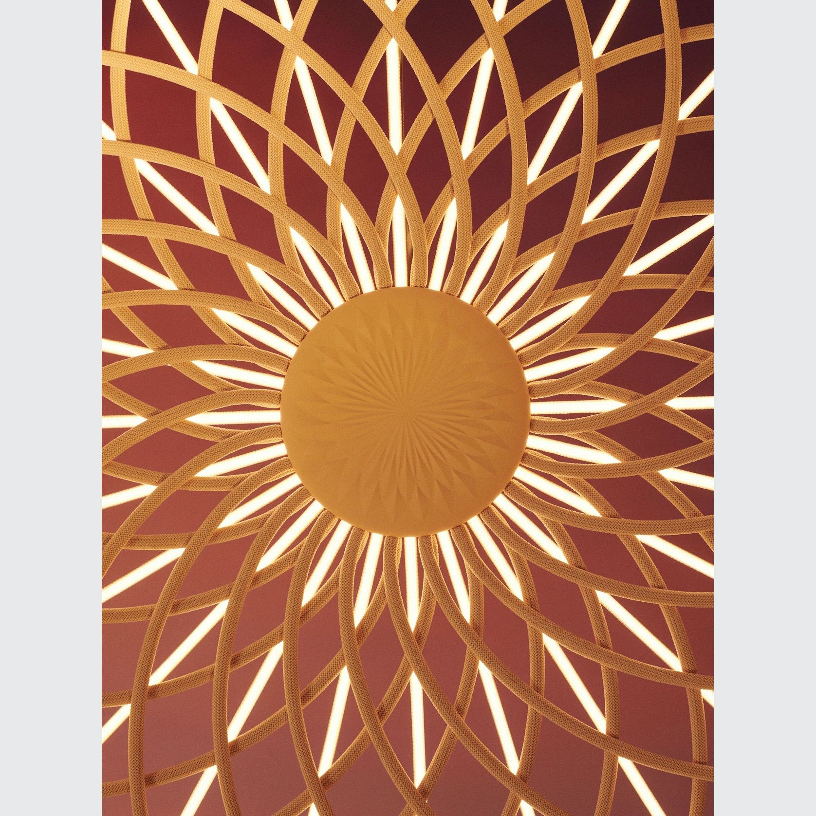 Skynest gallery detail image