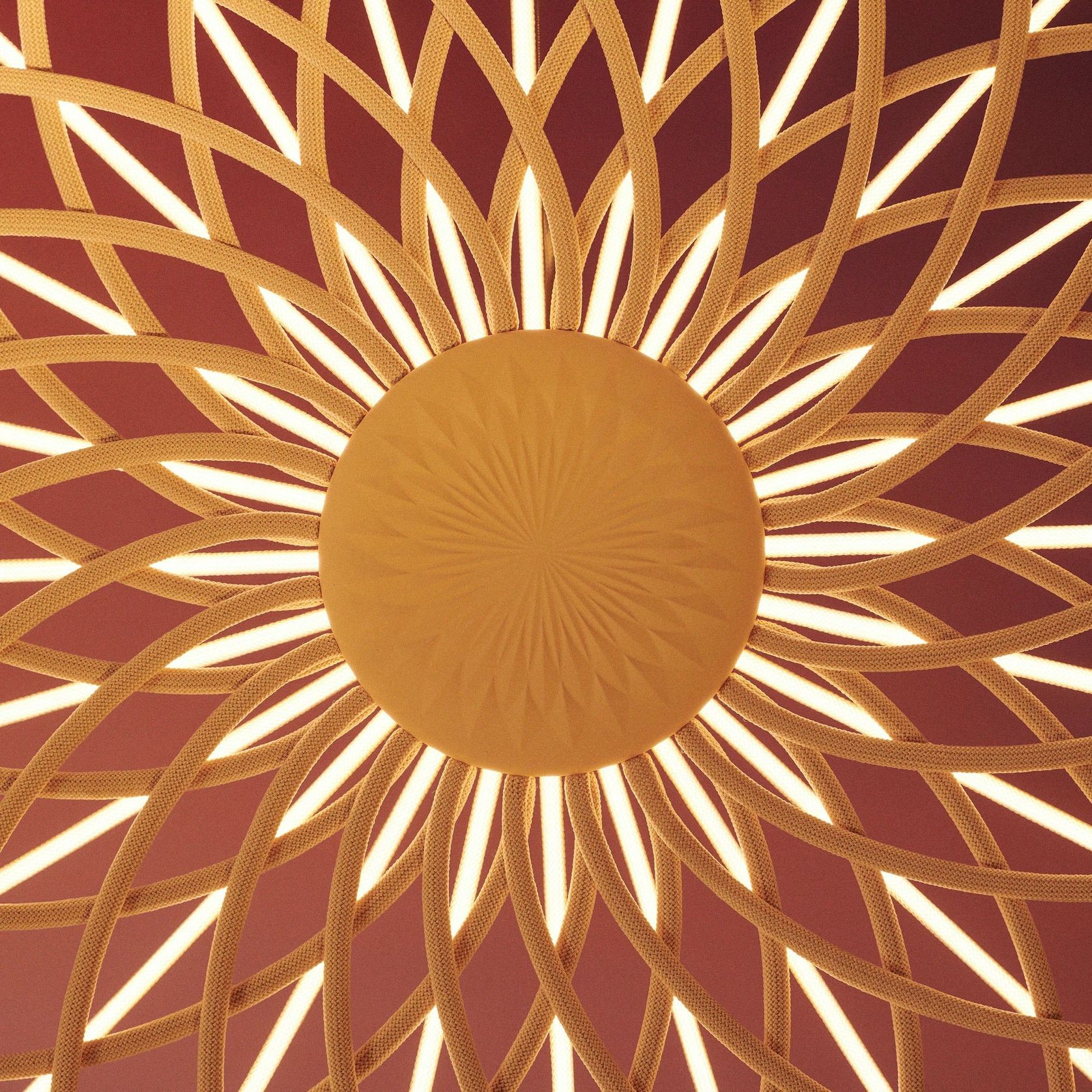 Skynest gallery detail image