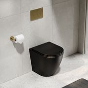 Flow Typhoon Inwall Toilet Suite | Brushed Brass Btn gallery detail image