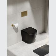 Flow Typhoon Inwall Toilet Suite | Brushed Brass Btn gallery detail image