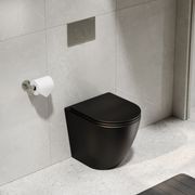 Flow Typhoon Inwall Toilet Suite | Brushed Nickel Btn gallery detail image