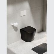 Flow Typhoon Inwall Toilet Suite | Matte White Button gallery detail image