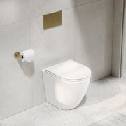 Flow Typhoon Inwall Toilet Suite | Brushed Brass Btn gallery detail image