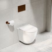 Flow Typhoon Wall Hung Toilet Suite |Brushed Copper Btn gallery detail image