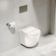Flow Typhoon Wall Hung Toilet Suite |Brushed Nickel Btn gallery detail image