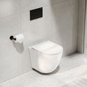 Flow Typhoon Wall Hung Toilet Suite | Gunmetal Button gallery detail image