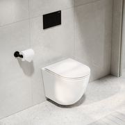 Flow Typhoon Wall Hung Toilet Suite | Matte Black Btn gallery detail image