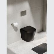 Flow Typhoon Wall Hung Toilet Suite |Brushed Nickel Btn gallery detail image