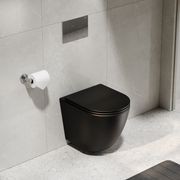 Flow Typhoon Wall Hung Toilet Suite | Chrome Button gallery detail image