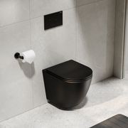 Flow Typhoon Wall Hung Toilet Suite | Gunmetal Button gallery detail image