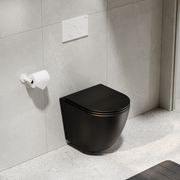 Flow Typhoon Wall Hung Toilet Suite | Matte White Btn gallery detail image