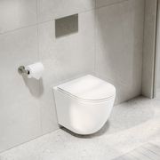 Flow Typhoon Wall Hung Toilet Suite |Brushed Nickel Btn gallery detail image