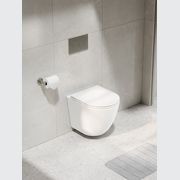 Flow Typhoon Wall Hung Toilet Suite |Brushed Nickel Btn gallery detail image