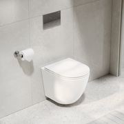Flow Typhoon Wall Hung Toilet Suite | Chrome Button gallery detail image