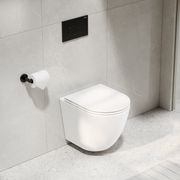Flow Typhoon Wall Hung Toilet Suite | Gunmetal Button gallery detail image