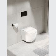 Flow Typhoon Wall Hung Toilet Suite | Gunmetal Button gallery detail image