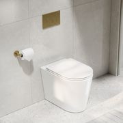 Pure Typhoon Inwall Toilet Suite | Brushed Brass Button gallery detail image