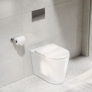 Pure Typhoon Inwall Toilet Suite | Chrome Button gallery detail image