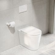 Pure Typhoon Inwall Toilet Suite | Matte White Button gallery detail image