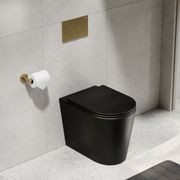Pure Typhoon Inwall Toilet Suite | Brushed Brass Button gallery detail image