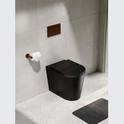 Pure Typhoon Inwall Toilet Suite | Brushed Copper Btn gallery detail image