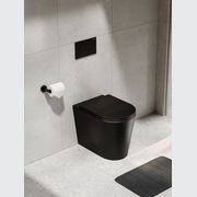 Pure Typhoon Inwall Toilet Suite | Gunmetal Button gallery detail image