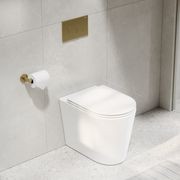 Pure Typhoon Inwall Toilet Suite | Brushed Brass Button gallery detail image