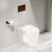 Pure Typhoon Inwall Toilet Suite | Brushed Copper Btn gallery detail image