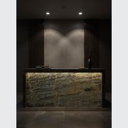 Lava Oro | Natural Stone Slab gallery detail image
