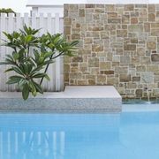 Fresh | Pool Mosaics gallery detail image