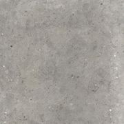 Poetry Stone Pirenei Grey Gecko 60 gallery detail image
