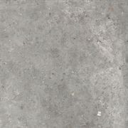 Poetry Stone Pirenei Grey Gecko 60 gallery detail image