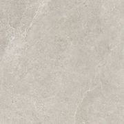 Magic Stone Ivory Gecko 60 gallery detail image