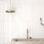 Verticale Clean Gloss 5x40 gallery detail image