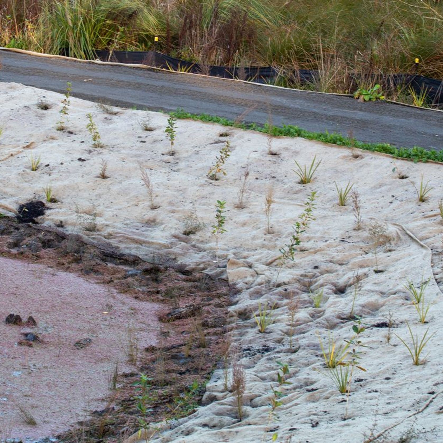 EcoWool™ Mulch Matting 1000gsm gallery detail image