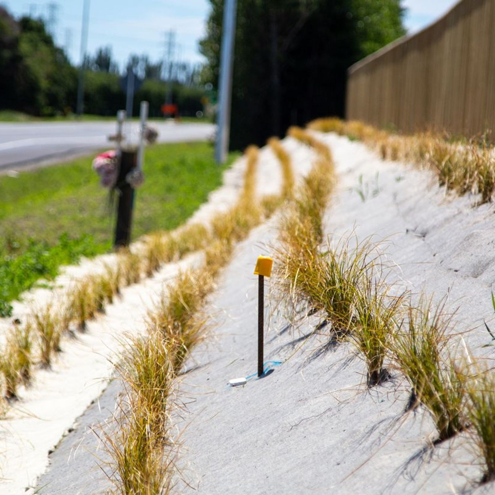 EcoWool™ Mulch Matting 1000gsm gallery detail image