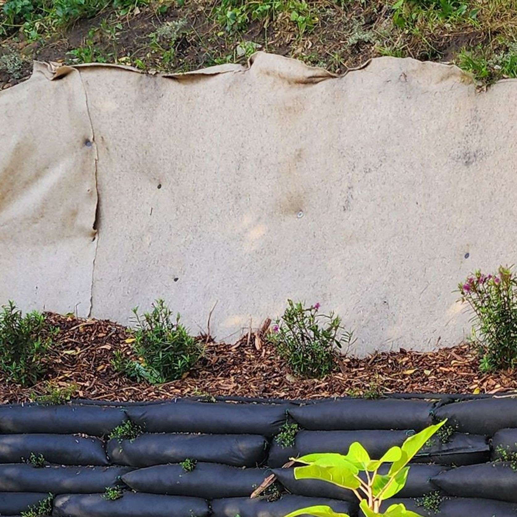 EcoWool™ Mulch Matting 600gsm gallery detail image