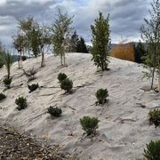 EcoWool™ Mulch Matting 1000gsm gallery detail image