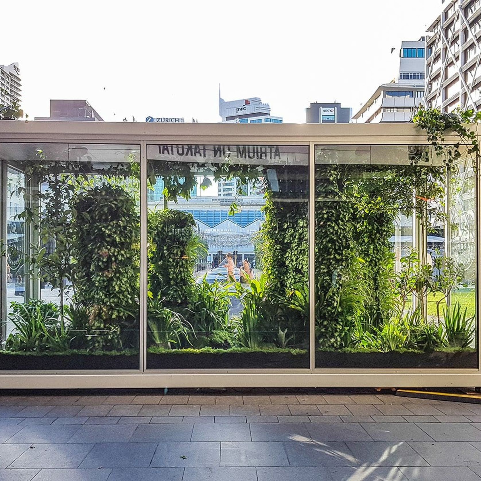 Short-Term Plant Hire for Events | GreenAir gallery detail image