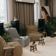 Short-Term Plant Hire for Events | GreenAir gallery detail image