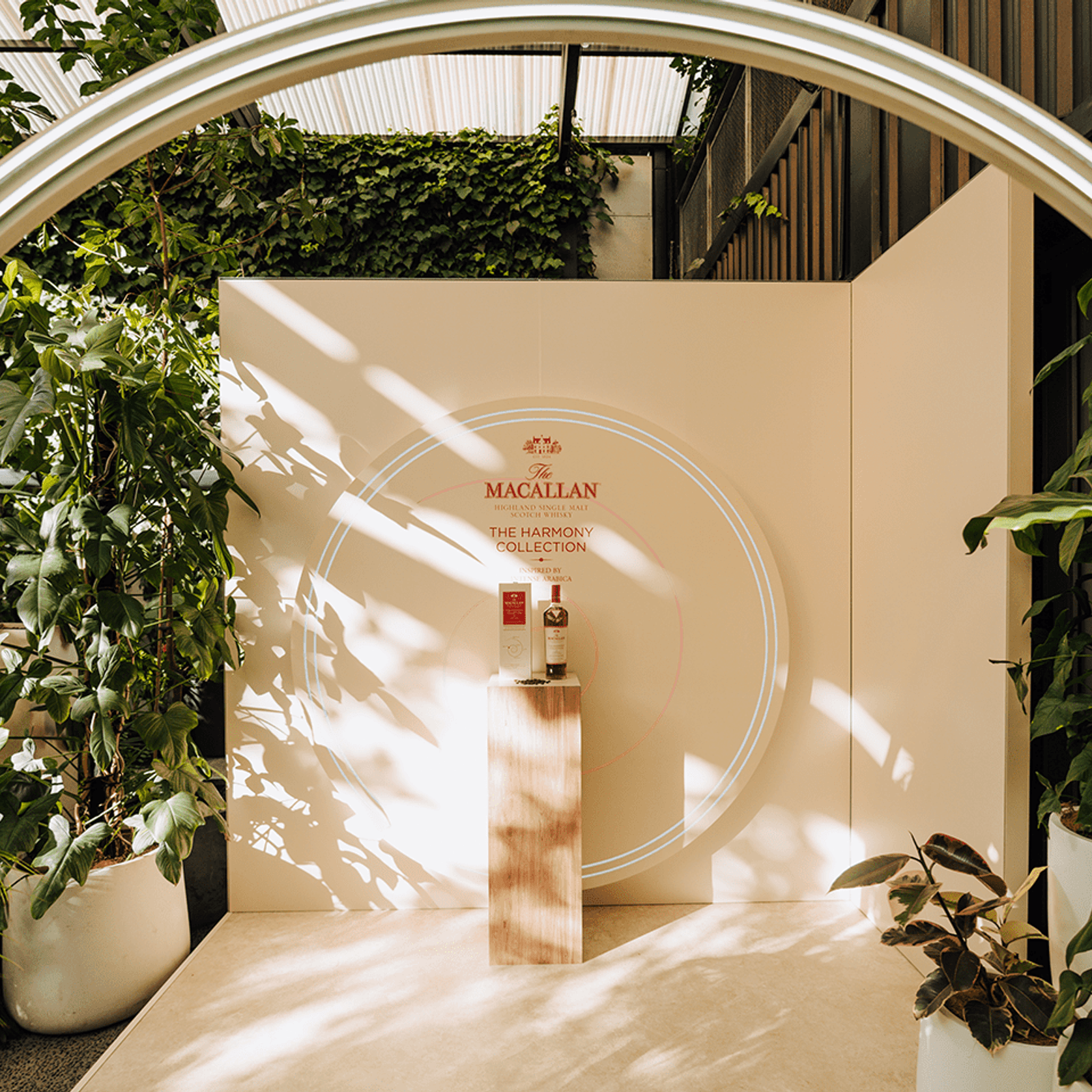 Short-Term Plant Hire for Events | GreenAir gallery detail image