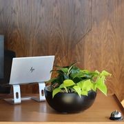 Garden Bowls | Hire Plants gallery detail image