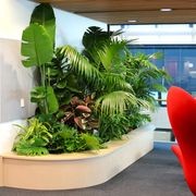 In-Built Gardens | Hire Plants gallery detail image