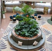 In-Built Gardens | Hire Plants gallery detail image