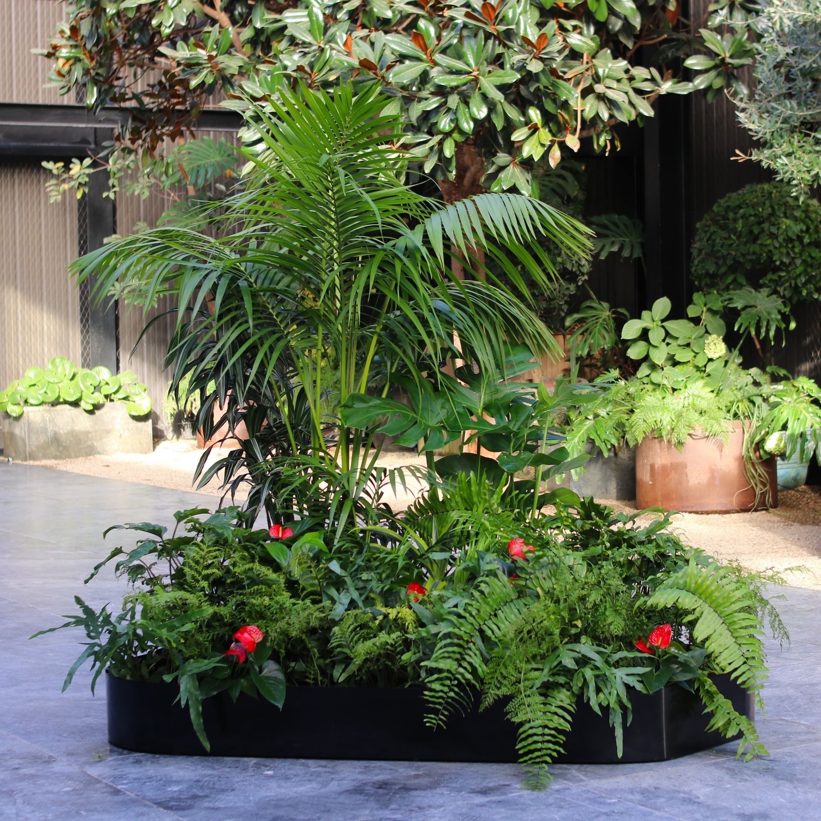 Garden Grove | Hire Plants gallery detail image