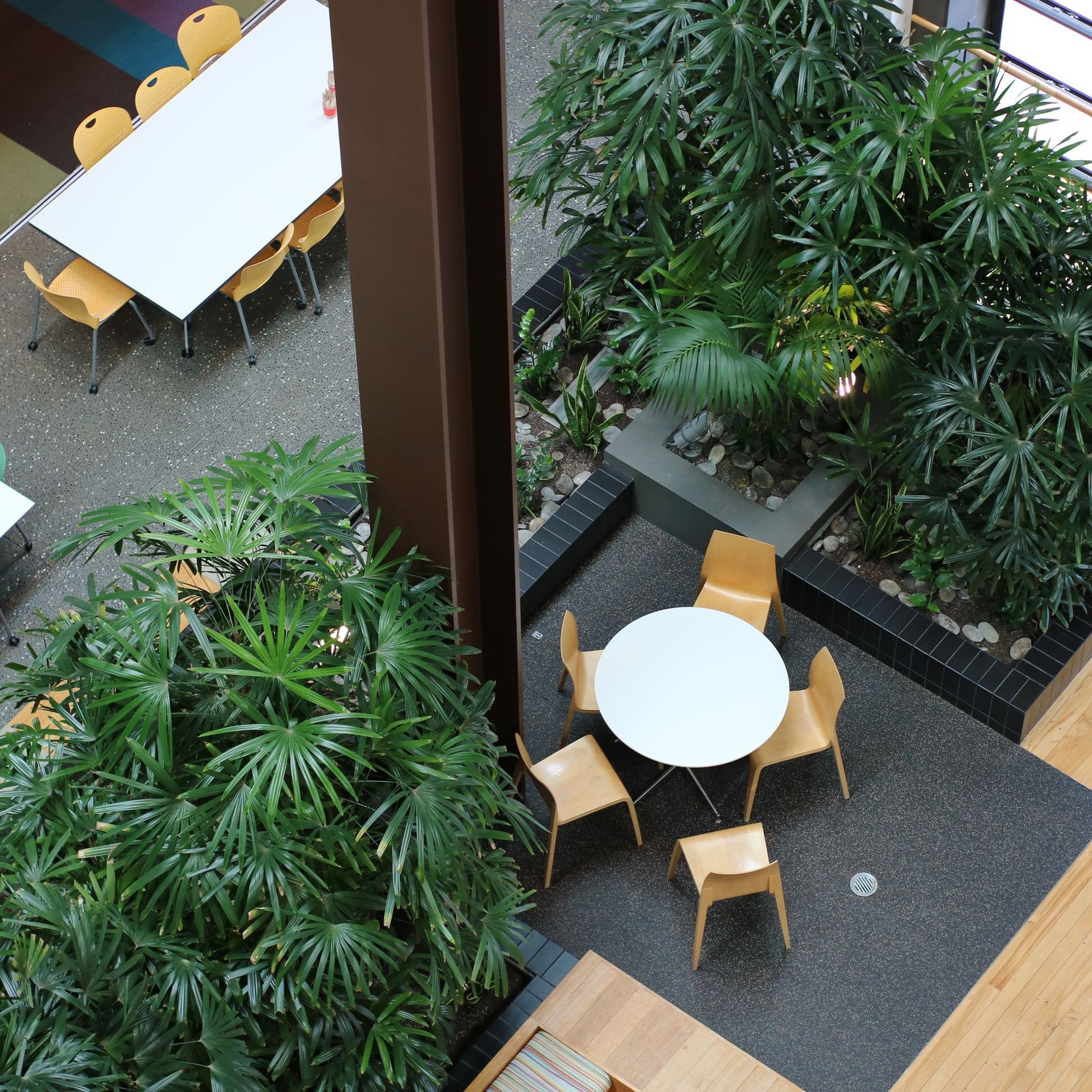 In-Built Gardens | Hire Plants gallery detail image