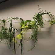 Plant Brackets | Hire Plants gallery detail image