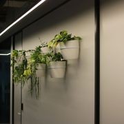 Plant Brackets | Hire Plants gallery detail image